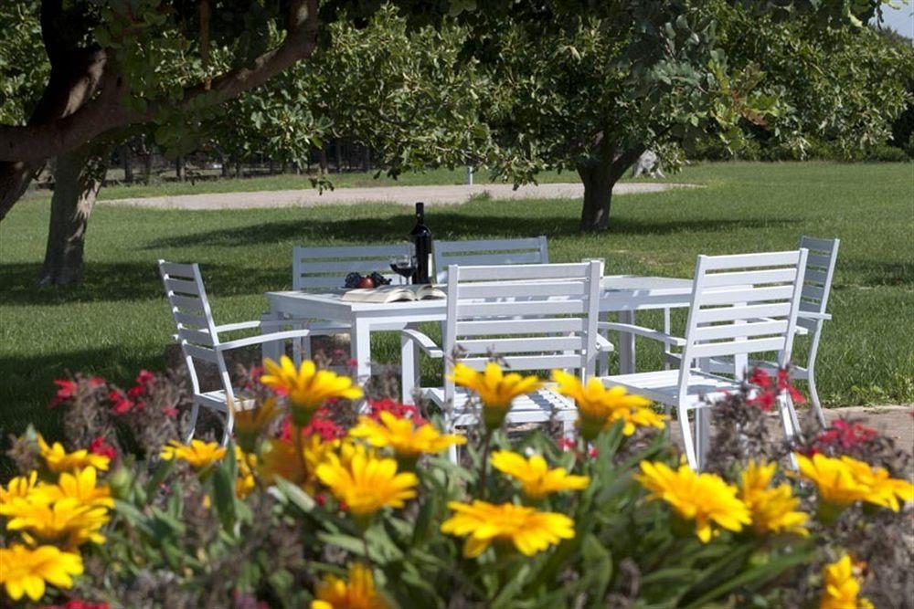 Tenuta San Nicola Novoli Kültér fotó